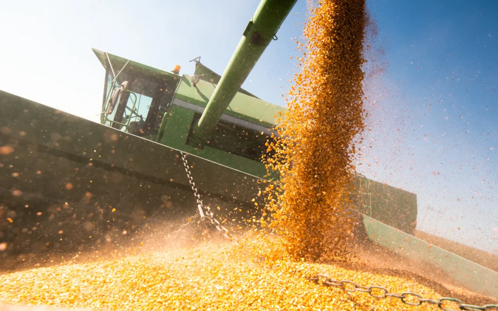 inocuidad alimentaria en Colombia