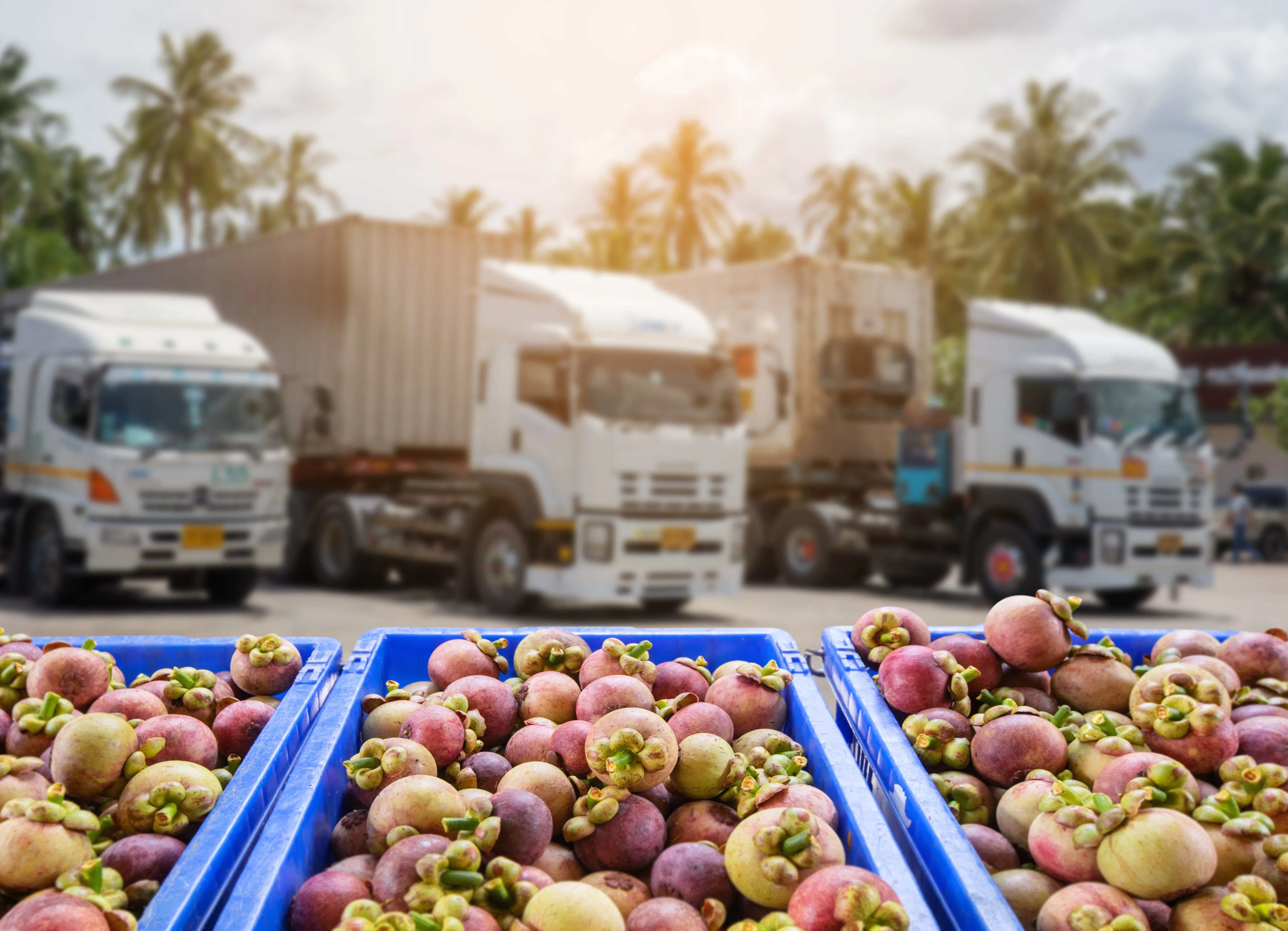 Inocuidad alimentaria en Colombia